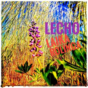 Download track Reggae Lunar Laika Rolinga