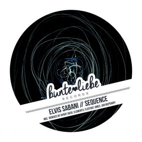 Download track Sequence (Flatfoot Jones Remix) Elvis SabaniFlatfoot Jones