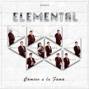 Download track Vuelvo A Sentir (Bonus Track) La Sonora Elemental