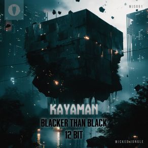 Download track 12-Bit Kayaman