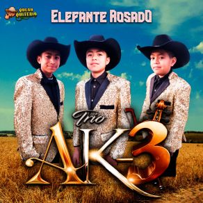 Download track Mis Raices Trio AK-3