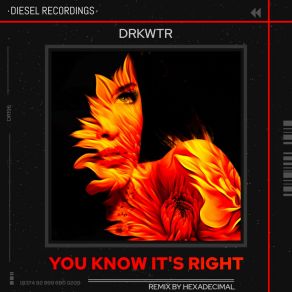 Download track You Know It's Right (Hexadecimal Remix) DRKWTRHexadecimal