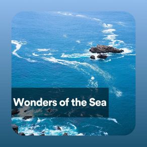 Download track Marine Wonders Streaming Waves