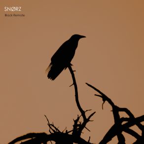 Download track Black Remote (Original) SNØRZ