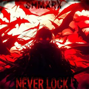 Download track Never Lock SHMXRX