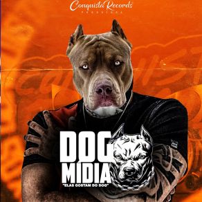 Download track Revoada Dog MidiaMc Taliba