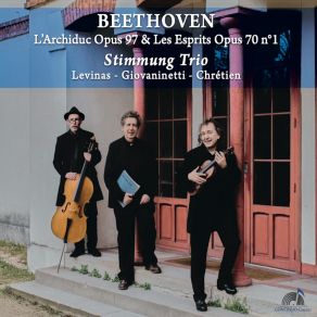 Download track Piano Trio No. 5 In D Major, Op. 70 