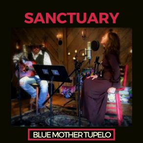 Download track Pilgrim (Live) Blue Mother Tupelo