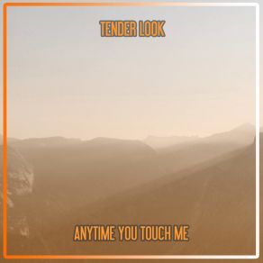 Download track Anytime You Touch Me (Nu Ground Foundation Classic Instrumental) Tender Look