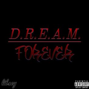 Download track Had A D. R. E. A. M. Libsey