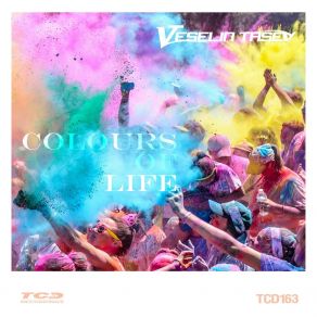 Download track Polarize (2019 Mix) Veselin TasevMix