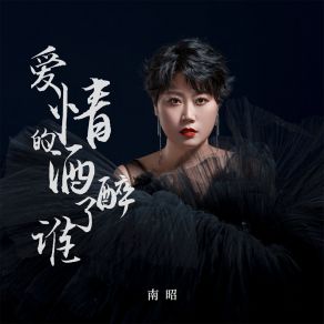 Download track 爱情的酒醉了谁 (伴奏) 南昭