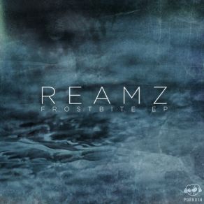 Download track Modulus (D Operation Drop Remix) Reamz