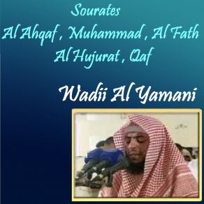 Download track Sourate Al Ahqaf (Quran) Wadii Al Yamani