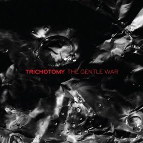 Download track Not According To Plan Trichotomy