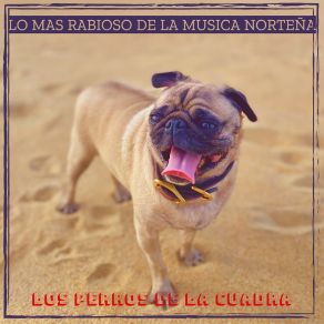 Download track De Que Te Quejas Los Perros De La Cuadra