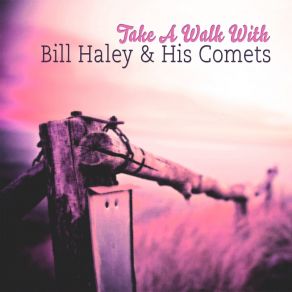 Download track Mooni Over Miami Bill Haley And His Comets