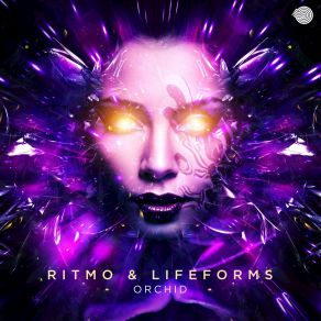 Download track Orchid Ritmo And Lifeforms