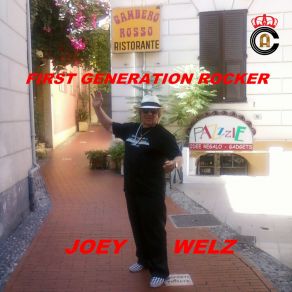 Download track The Fool Joey Welz