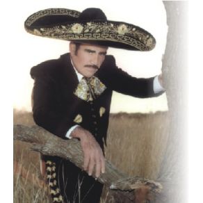 Download track Hermoso Carino Vicente Fernández