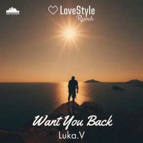 Download track Want You Back (Extended Mix) Luka V