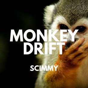 Download track Relaw Monkey Drift