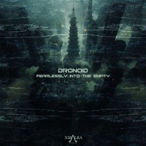 Download track Bird Looks (Original Mix) Dronoid