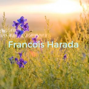 Download track Stress Francois Harada