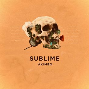 Download track Sublime (Extended Mix) Akimbo