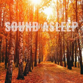 Download track Relaxing Autumn Walk On Dry Leaves, Pt. 8 Elijah Wagner