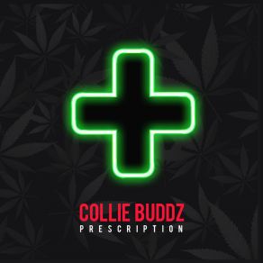 Download track Prescription Collie Buddz