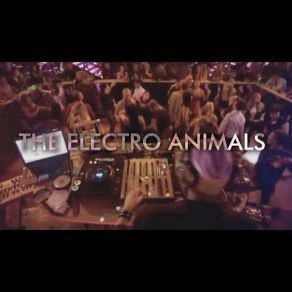 Download track Party (Electro Radio) Pola Green, The Electro Animals