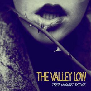 Download track Silver Tongued Devil The Valley Low