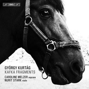 Download track 20. Part 2 - 1. Der Wahre Weg Gyorgy Kurtag