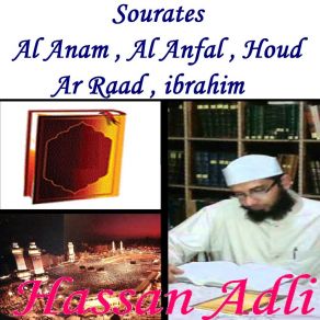 Download track Sourate Al Anam, Pt. 2 (Hafs Muratal) Hassan Adli