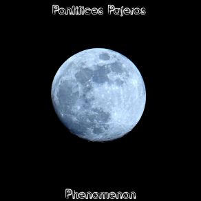 Download track A Strange Behaviour Pontifices Pajeros