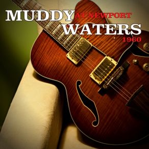 Download track Goodbye Newport Blues (Live) Muddy Waters