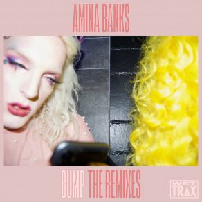 Download track Bump (Original Mix) Amina Banks