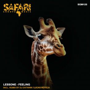 Download track Feelings (Original Mix) Lessone