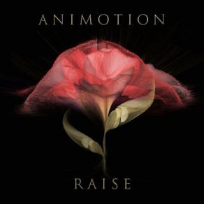 Download track Last Time Animotion