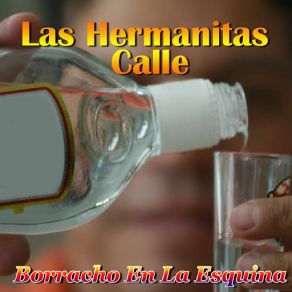 Download track Pelo De Oro Las Hermanitas Calle