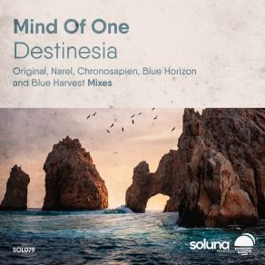 Download track Destinesia (Blue Harvest Remix) Mind Of OneBlue Harvest