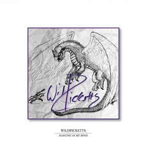 Download track Broken Ice WILDPICKETTS