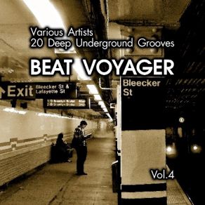 Download track Speaking Organs (Original Mix) Deep Vibes Project