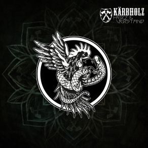 Download track Tiefflieger (Live) Kärbholz