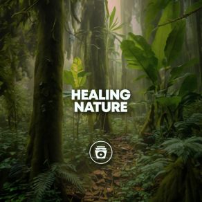 Download track Healing Nature Jungle Sounds