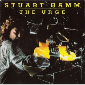 Download track The Hammer Stuart Hamm