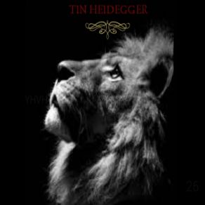 Download track Alto Voltaje Tin HeideggerPablo Orcellet