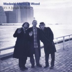 Download track Shuck It Up Medeski Martin & Wood