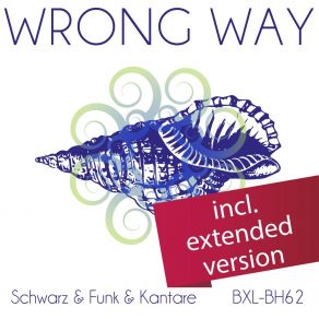 Download track Wrong Way Vladimir Kantar